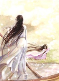 从海贼开始玩卡牌